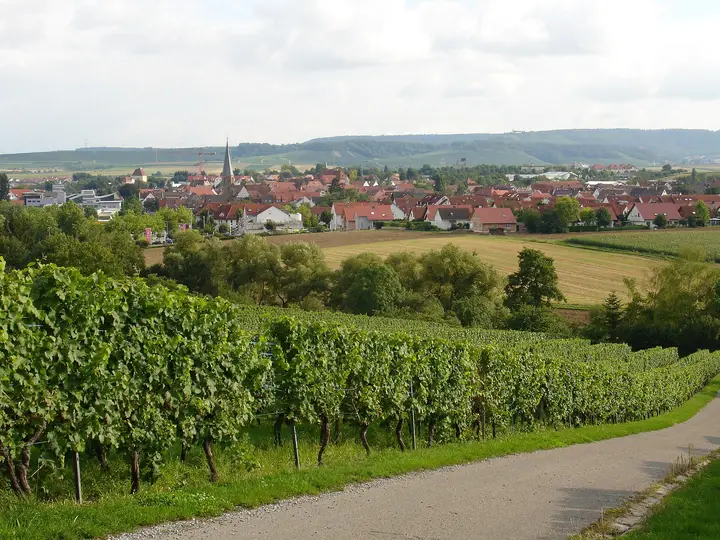 Die Stadt Brackenheim . Ziemlich genau nach Süden (~190°) fotografiert.