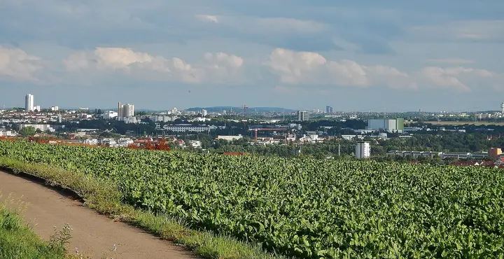Blick Richtung Bietigheim-Bissingen