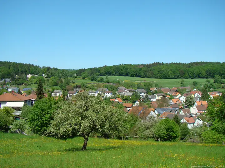 Blick über Neckarsteinach-Darsberg