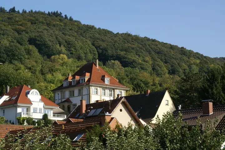 Handschuhsheim