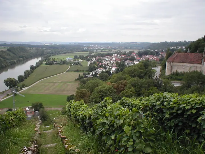 Heinsheim am Neckar mit Burg Ehrenberg
