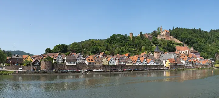 Blick auf den historischen Ortskern von Hirschhorn