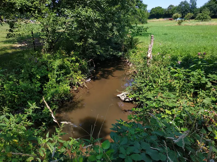 Lörzenbach, Blick in die Lörzenbach