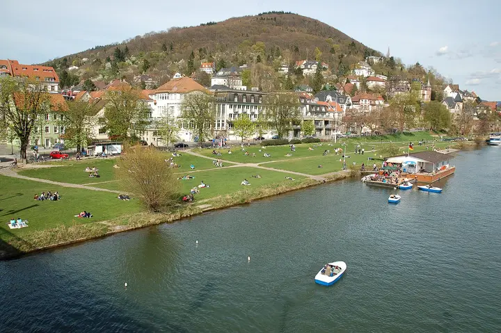 Neckarwiese in Heidelberg-Neuenheim