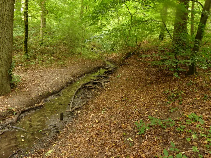 Krummbach bei der Schwefelquelle Östringen