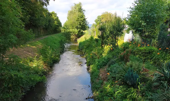 Rimbach, Weschnitz in der Nähe des Insektenhotels in der Fahrenbacher Straße