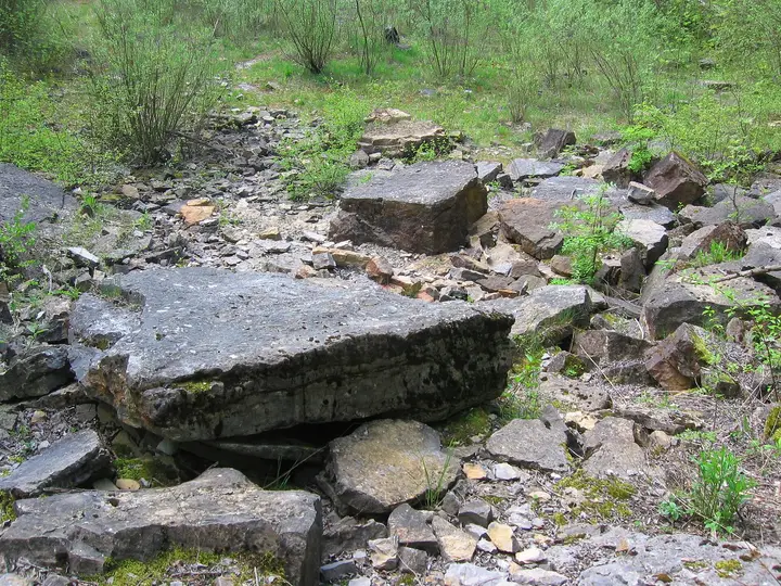 Muschelkalksteinbruch bei Schatthausen, Rhein-Neckar-Kreis.