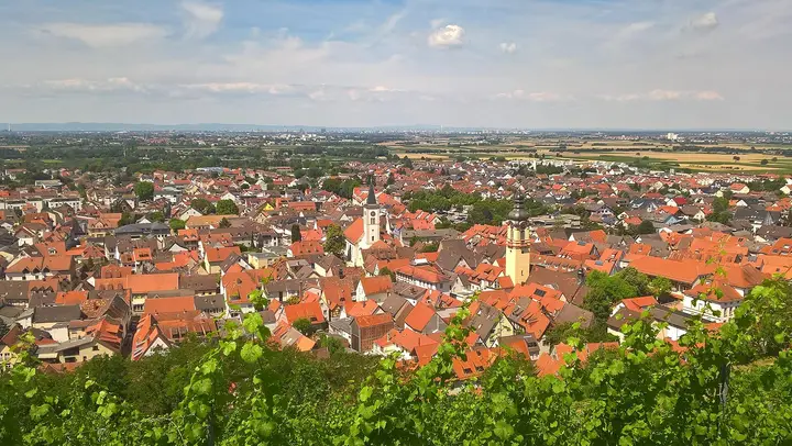 Blick auf Schriesheim