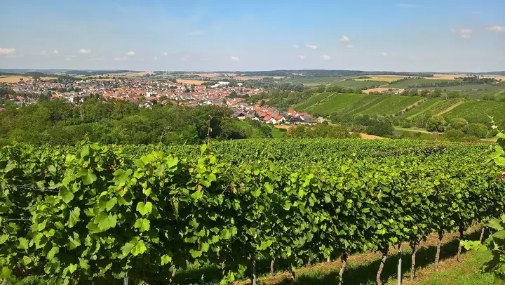Sulzfeld
